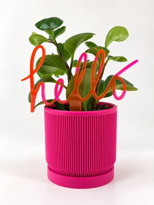 The Cutie Pot
