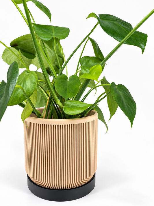 The Statement Pot