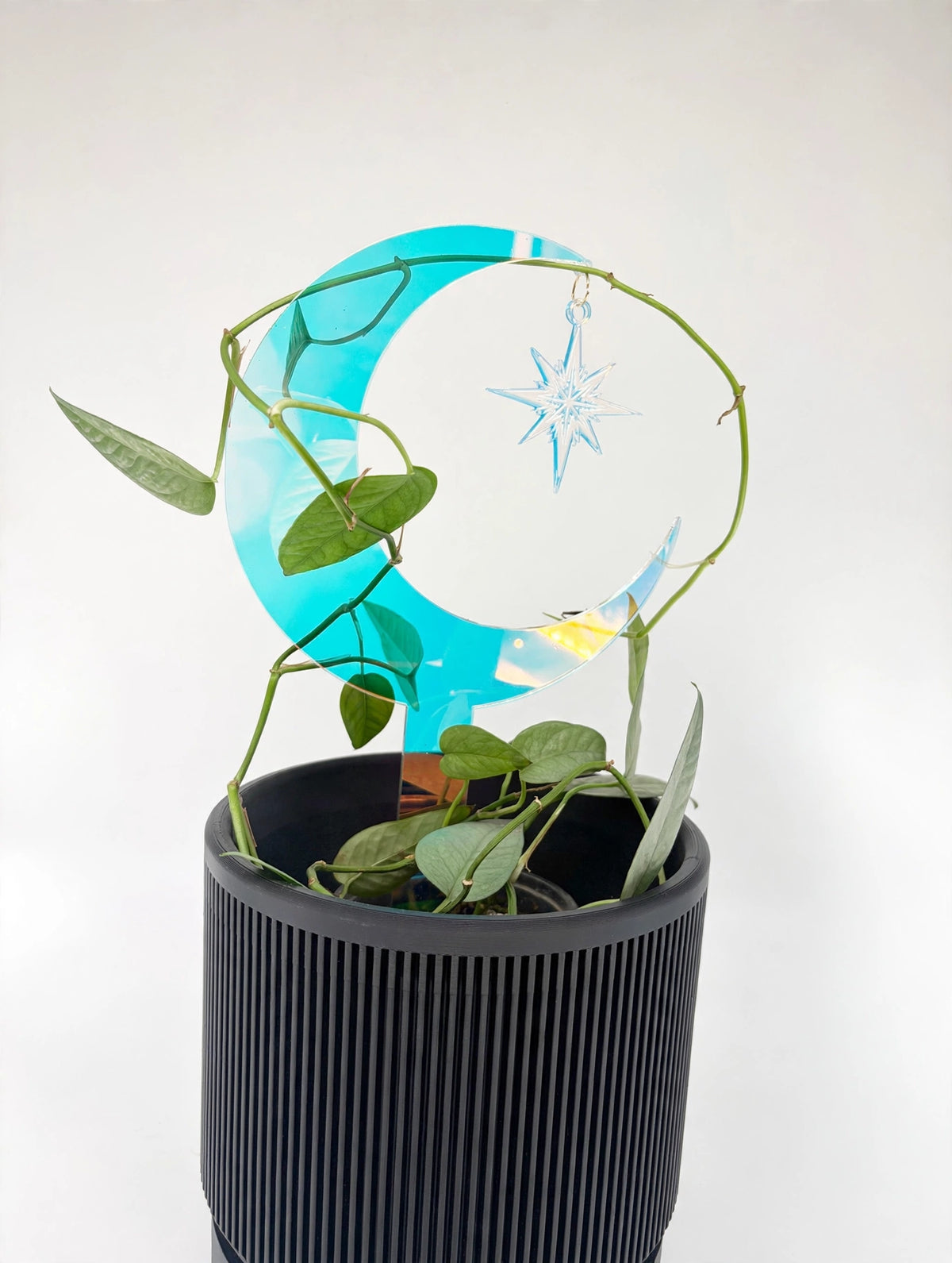 Large Plant Stakes