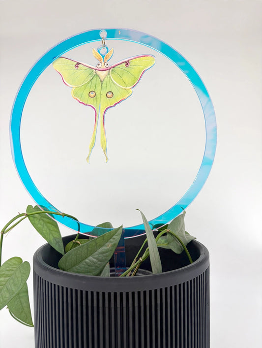 Large Plant Stakes