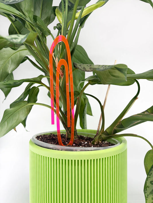 Small Plant Stakes