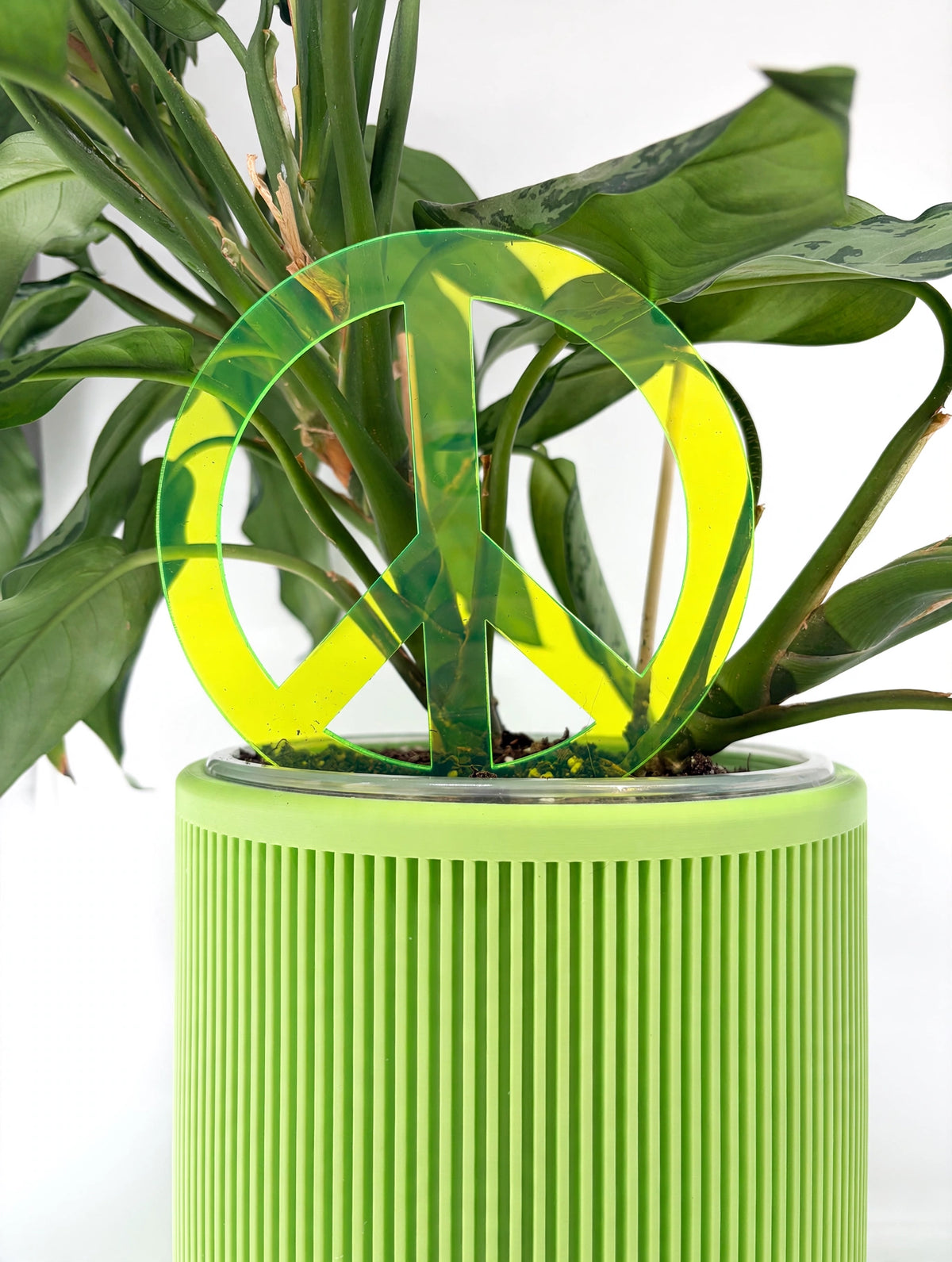 Small Plant Stakes